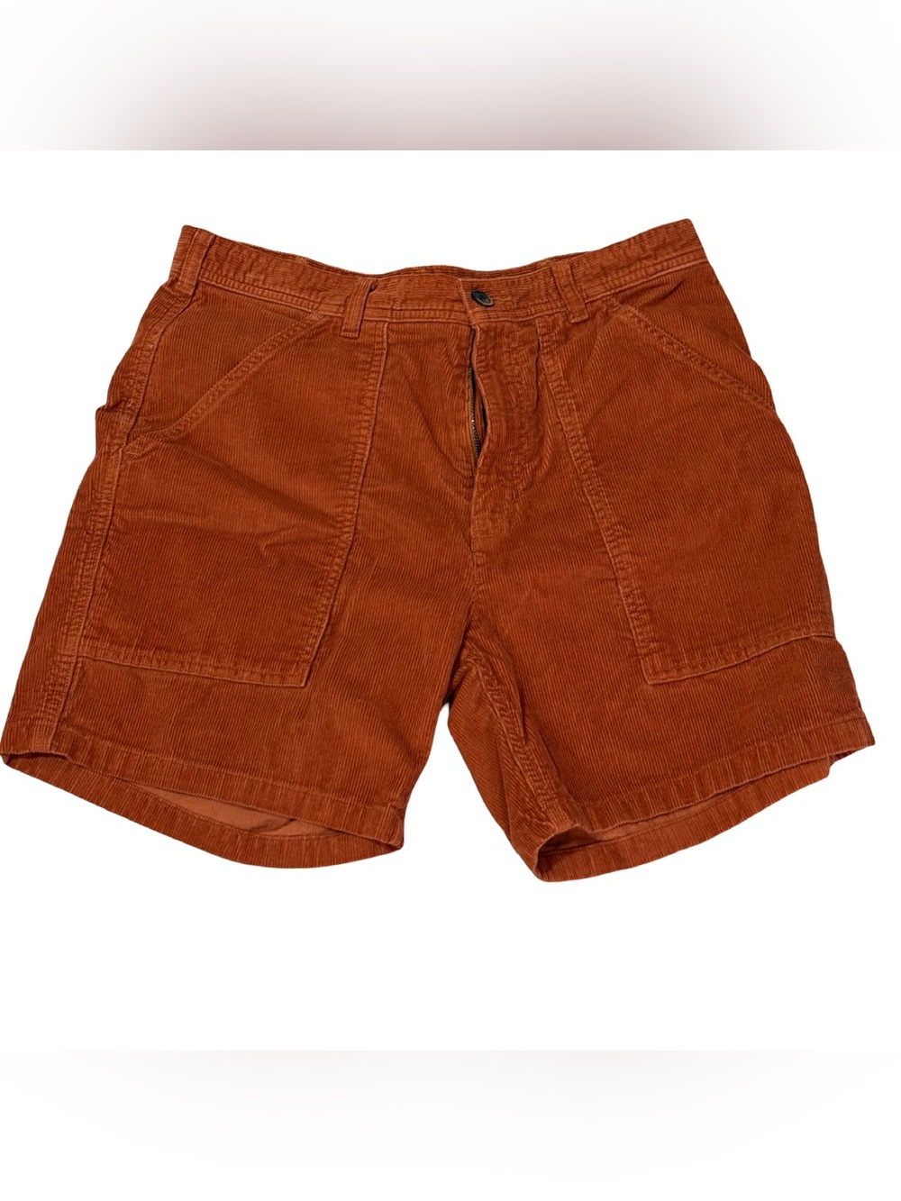 Patagonia Men's Corduroy Utility Shorts in Rust